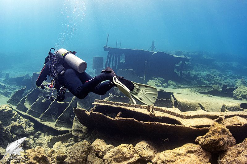 Ancient Wreck Dalış Noktası
